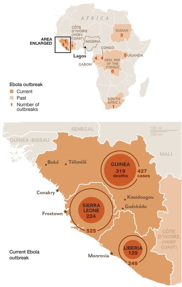 Why Deadly Ebola Virus Is Likely to Hit the U.S. But Not Spread