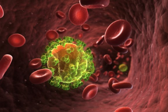 Scientists have “unexpectedly” found a vaccine that completely blocks HIV infection in monkeys Science Alert