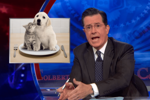 “Dogs and cats have to die”: Stephen Colbert sums up latest insane NRA crusade - Salon.com