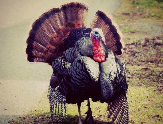 The World's Iconic National Dishes - The Atlantic