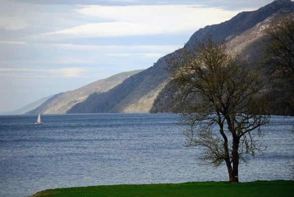 Google Maps lets you search for the Loch Ness Monster from your couch | The Verge