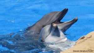 7559_7d0a9bd083154d3d7f429550f7e8fd57