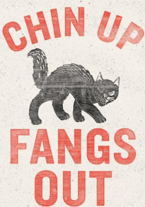 screenshot-of-safari-2017-01-20-9-50-18-pm