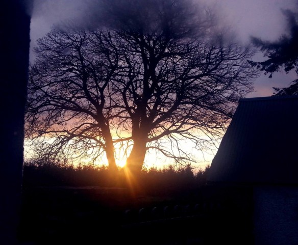 wintersolstice-1024x845