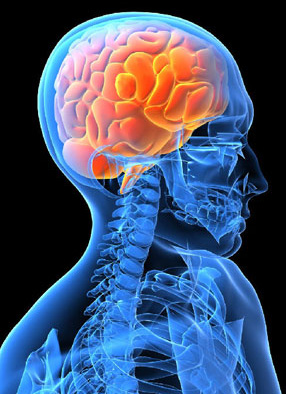 functional-neurology