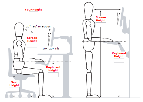 incredible-standing-desk-ergonomics-standing-desk-guide-measurements-examples-and-benefits