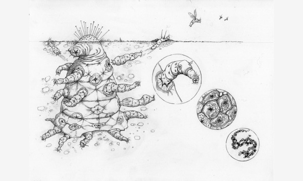 Idea sized 171102 octomite full
