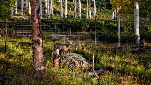 L7v9uvjmafypbdwby59j