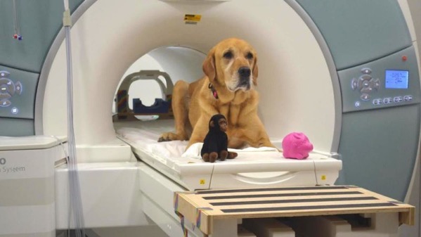 N3g8gsolgn2jsdd65hw9