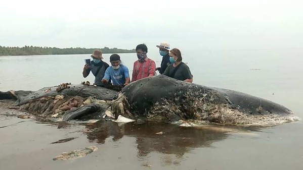 1542821031064 gettyimages 1063954258