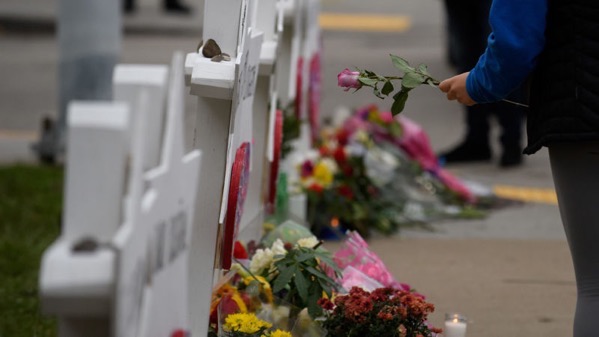 Fcrzpb9c1drhjiufrlvd