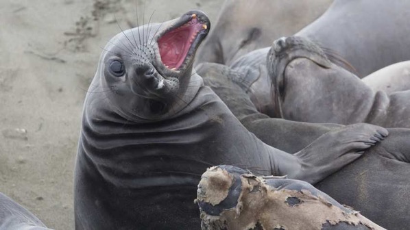 1548875538594 42675183472 36deb959c3 h