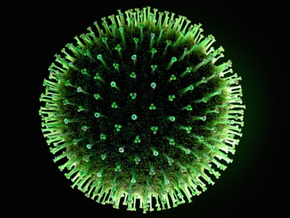 Flu virus 1 570fe65380ecc6605d4c8b96e2abea6299b25c36 s1600 c85
