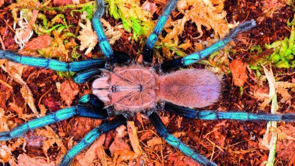 Methode times prod web bin 8d6313c0 3f7a 11e9 889c a7e27b96460c