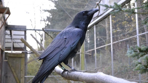 1558461476225 201011 web