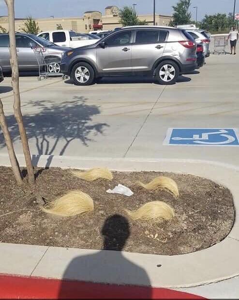 BAE250F6-D4A6-4193-8438-85CD88FB83AE