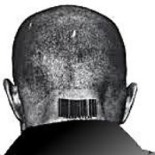 846fd7c9a41dd1b76ba7ea1aadb1667c