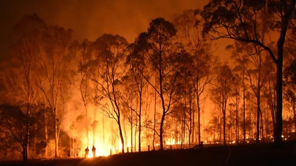 611530 australian wildfires