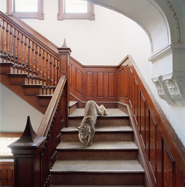 Maureen O Connor Brotherhood