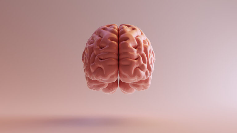 adobestock_250192751-768x432-1