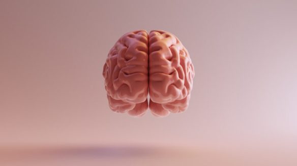 adobestock_250192751-768x432-1