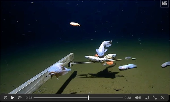 CleanShot 2023 04 03 at 22 40 47