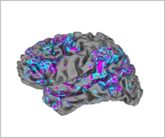 CleanShot 2023-05-01 at 23.17.40.jpg CleanShot 2023 05 01 at 23 17 40