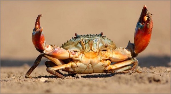 CleanShot 2023 06 02 at 21 35 27