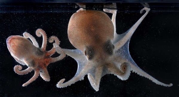 e163ec88122694abf6_10009524.jpg E163ec88122694abf6 10009524