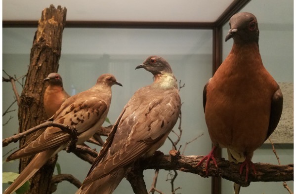 Untitled design 2022 09 08T151539 860 png