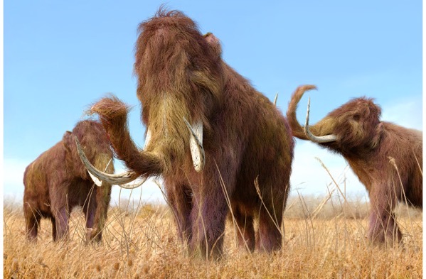 Untitled design 2022 09 08T151916 720 png