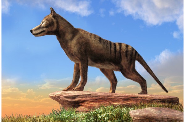 Untitled design 2022 09 08T152137 872 png