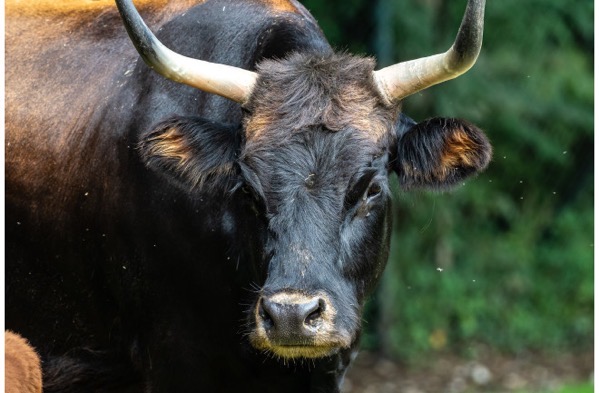 Untitled design 2022 09 08T152359 018 png