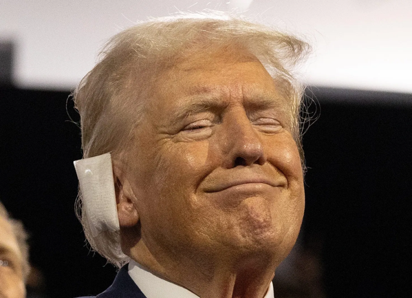 B2e24b1a e1af 48bd b3c6 dde193013302_1500x1084.