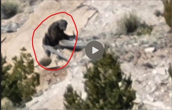 CleanShot 2024-12-18 at 11.53.28.