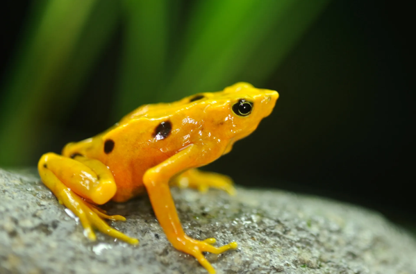 GettyImages 907633228.jpg.