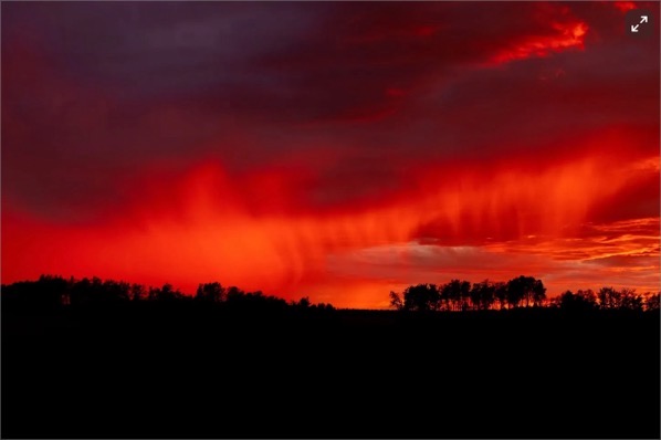 CleanShot 2025-05-31 at 07.30.38.