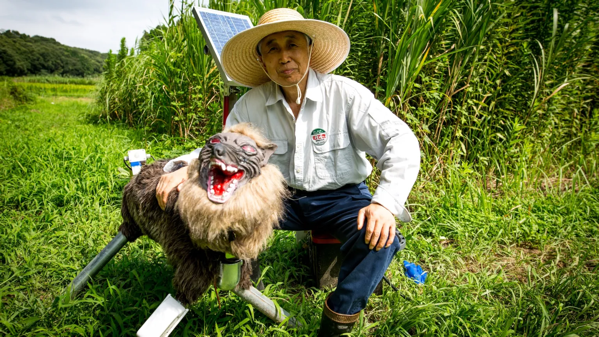Robot Wolf Farmer.